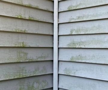 How to Prevent Water Stains on Siding and Exterior Walls: Tips for a Dry Home