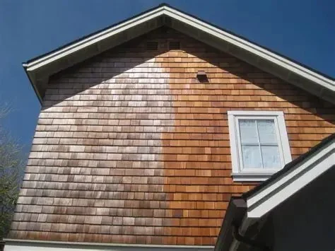 Siding Material Maintenance for Maple Wood, Cedar, and Composite