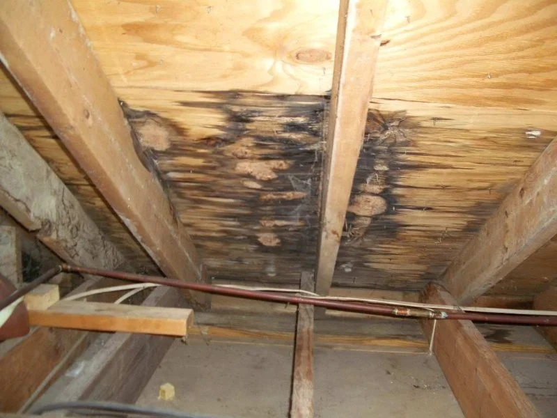 Best Practices for Roof Leak Detection Early in Attic
