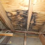 Best Practices for Roof Leak Detection Early in Attic