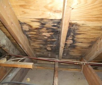 Best Practices for Roof Leak Detection Early in Attic