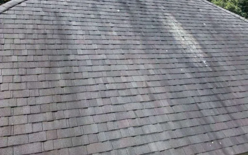 What to Do If You See Black Streaks on Your Roof or Siding
