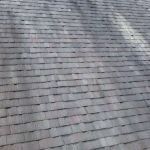 What to Do If You See Black Streaks on Your Roof or Siding