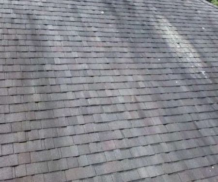 What to Do If You See Black Streaks on Your Roof or Siding