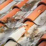 Roof Underlayments That Resist Mold & Rot