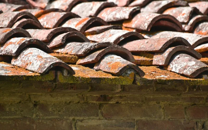Signs Your Roof Is Near End of Its Lifespan