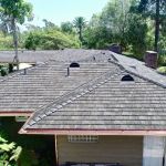 How to Choose Roofing Products That Are Mold & Mildew Resistant