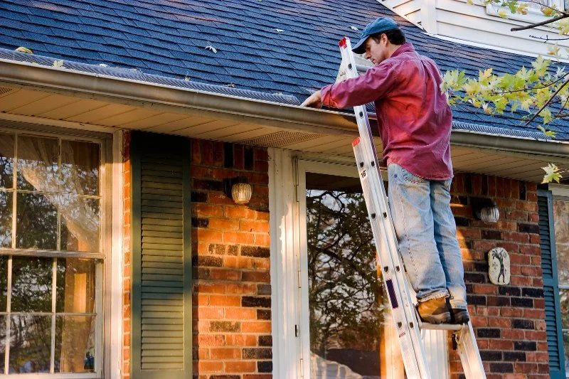 Why Roof Maintenance Should Never Be Ignored