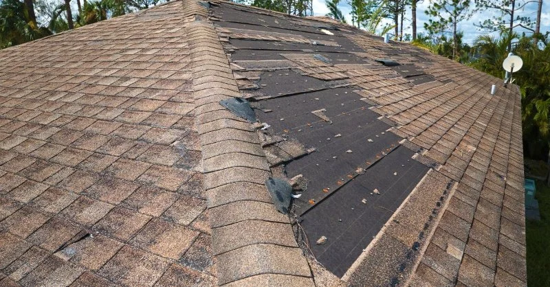 How to Protect Your Roof from Long-Term Wear and Tear