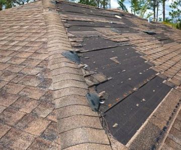 How to Protect Your Roof from Long-Term Wear and Tear