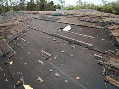 How to Prevent Roof Damage from Environmental Factors