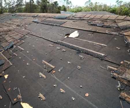 How to Prevent Roof Damage from Environmental Factors