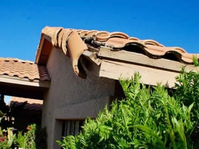 How to Protect Your Roof from Environmental Wear