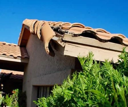 How to Protect Your Roof from Environmental Wear