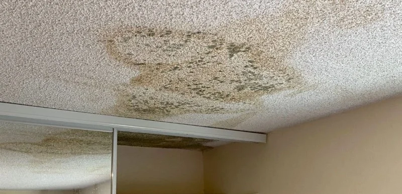 How to Identify Water Damage Caused by a Leaking Roof