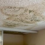 How to Identify Water Damage Caused by a Leaking Roof