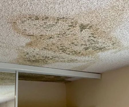 How to Identify Water Damage Caused by a Leaking Roof