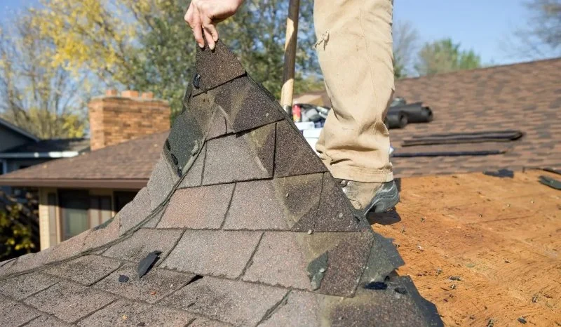 How to Spot Roof Wear and Tear Early