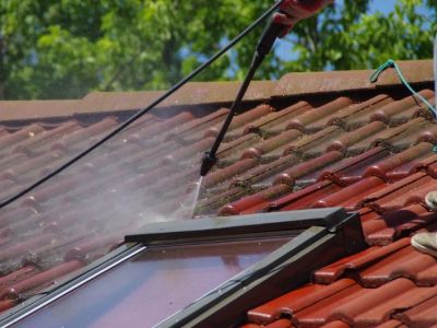 The Benefits of Professional Roof Cleaning Services