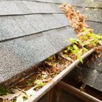 How to Prevent Roof Damage from Blocked Gutters Effectively