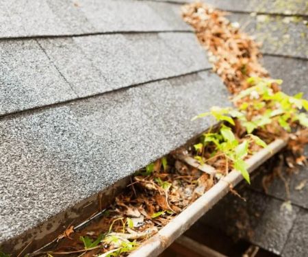 How to Prevent Roof Damage from Blocked Gutters Effectively