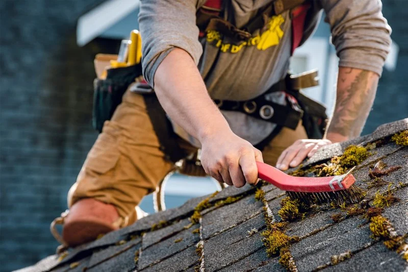 Roof Maintenance Tips Every Homeowner Should Follow Each Season