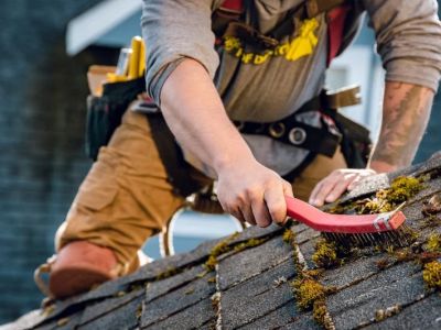 Roof Maintenance Tips Every Homeowner Should Follow Each Season