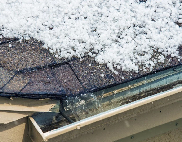 How to Protect Your Roof from Seasonal Wear