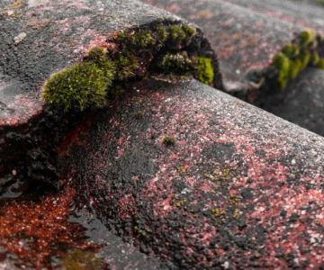 How to Protect Your Roof from Environmental Wear: Expert Tips for Longevity