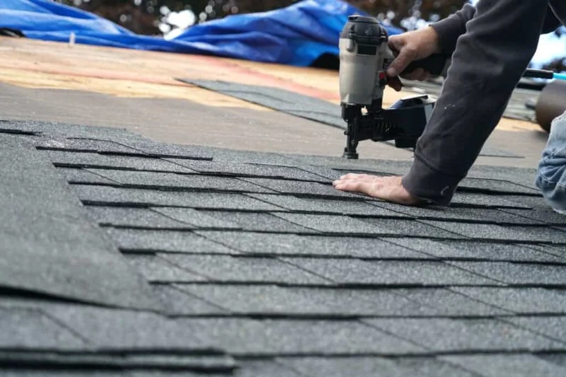 How to Spot Shingle Damage Before It Turns Into a Major Leak