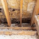How to Prevent Mold and Moisture Problems Caused by a Leaking Roof | Expert Roofing Tips