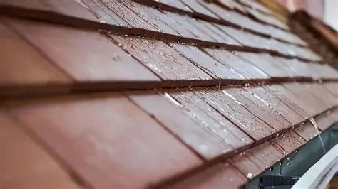 How to Protect Your Roof from Heavy Rainfall: Expert Tips for Homeowners