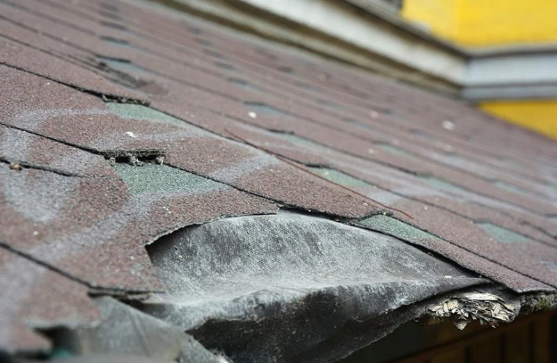 How to Identify Early Signs of Roof Failure and Prevent Costly Damage