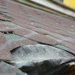 How to Identify Early Signs of Roof Failure and Prevent Costly Damage