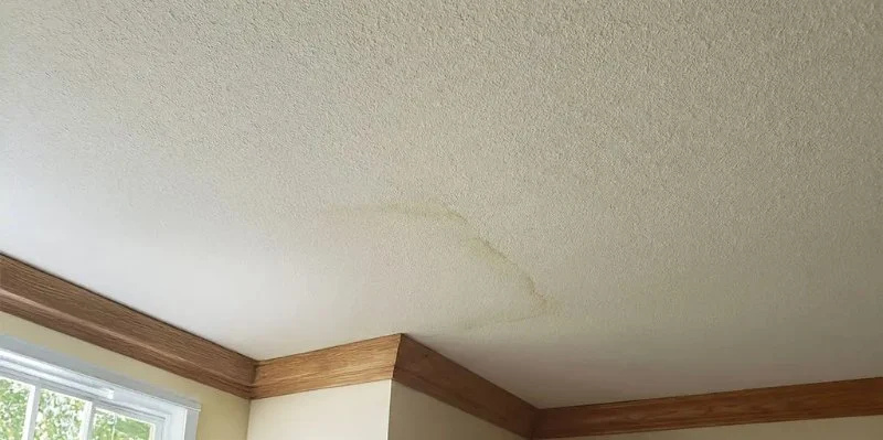 How to Spot Roof Damage Before It Affects Interior Walls Guide