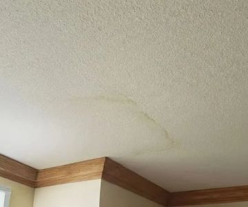 How to Spot Roof Damage Before It Affects Interior Walls Guide