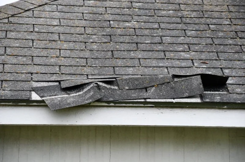 How to Prevent Roof Damage from External Elements Effectively