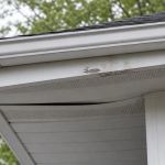 Soffit and Fascia Damage: Signs Homeowners Can Check