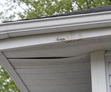 Soffit and Fascia Damage: Signs Homeowners Can Check